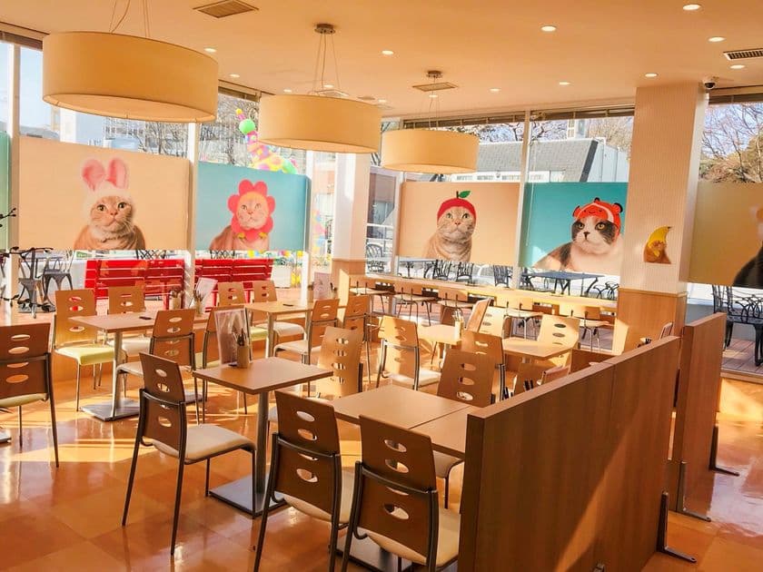 “のっけごはん”でカワイイものとコラボ　
和食にこだわったカフェ＆ダイニングが竹下通りに4/1誕生！
第1弾は「ねこのかぶりもの」コラボで“ねこまんま”を提供