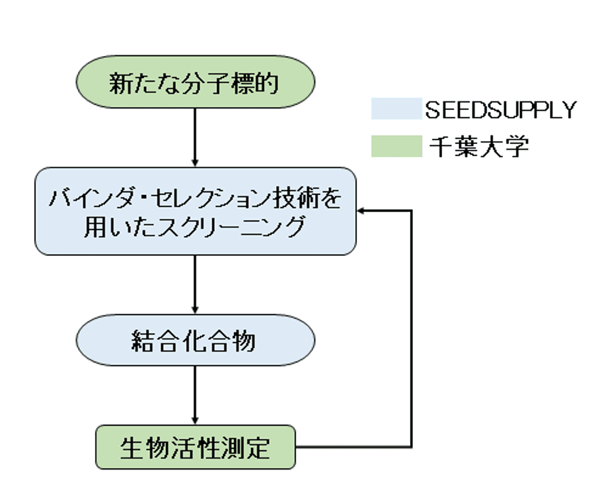 新たな分子標的をターゲットにした上皮がん治療薬の探索研究
「産学連携による新たな初期創薬プロセスモデルの構築」
