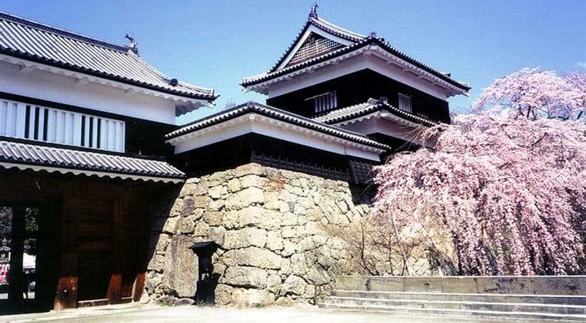 上田城！桜！グルメ！見どころ満載の『信州上田探訪』
『第15回上田城千本桜まつり』4月7日(土)～22日(日)開催