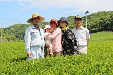 安間製茶