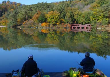 大平森林公園