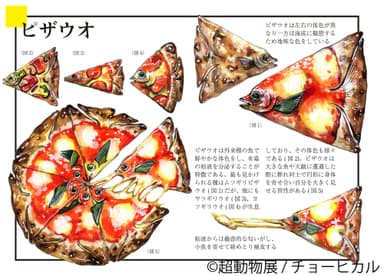 展示作品3