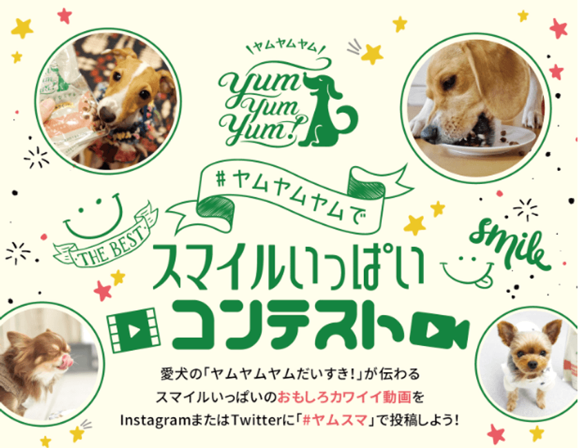 愛犬が「Yum Yum Yum!」を食べている動画を投稿　
ヤムスマ動画コンテストでプロモーション動画デビュー