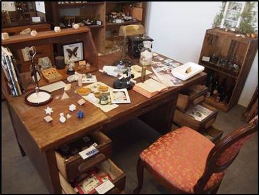 アートミュージアム・アミューズメントパークが
融合した“AMUSEUM”【体験型ライフスタイルショップ】
『A.D.NEEL(エイ・ディー・ネール)みなとみらい店』
4月27日(金)グランドオープン