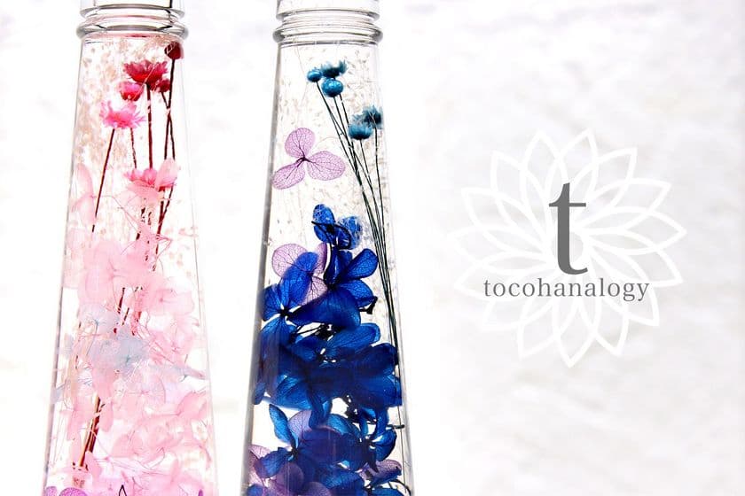 紫陽花のハーバリウム＆薬用美白『PRACILA』が
“フォロー＆リツイート”で当たるキャンペーン6/1～実施