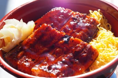鹿児島産「うな丼」