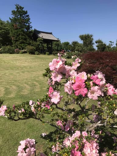 庭園から真光寺山門をのぞむ