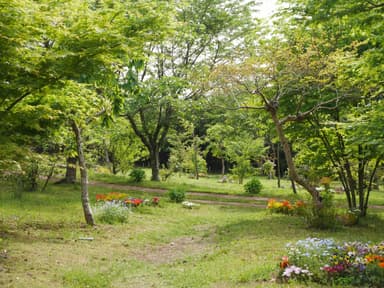 様々な緑が織りなす墓苑の風景