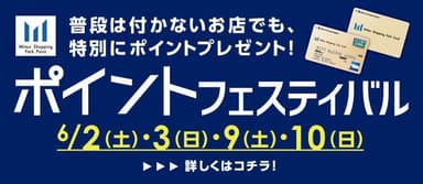 ポイントフェスティバル