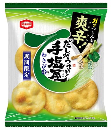 『55g 手塩屋ミニ わさび味』