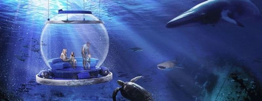 世界初の「海中バルーン」による海中旅行実現へ！
オーシャンスパイラルが第三者割当増資で7,500万円を調達