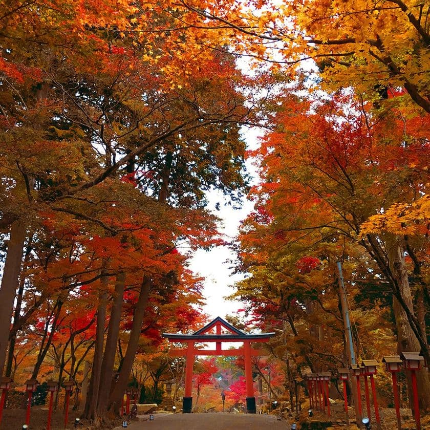 星野リゾート　ロテルド比叡　（京都府 比叡山）
厄年の方へお寺と神社の両方で「やくばらい」を体験
秋の比叡山をめぐる「比叡山やくばらい散歩」を開催
期間：2018年9月1日〜11月30日