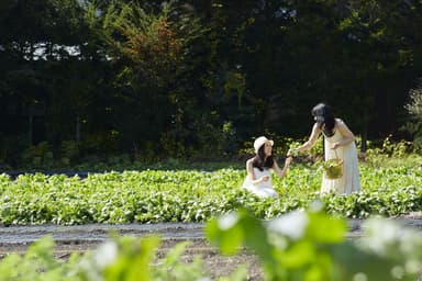【星のや軽井沢】野菜畑ショートトリップイメージ