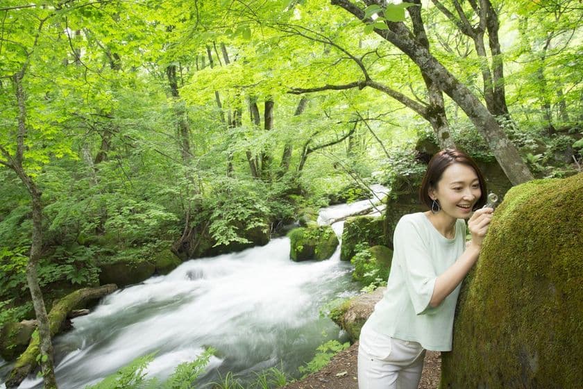星野リゾート　奥入瀬渓流ホテル（青森県十和田市）
苔づくしの宿泊プラン「苔ガールステイ」提供
開催期間：2018年6月1日～8月31日