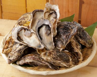 博多磯っこ牡蠣イメージ