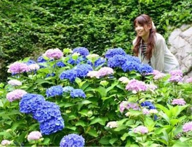 六甲高山植物園