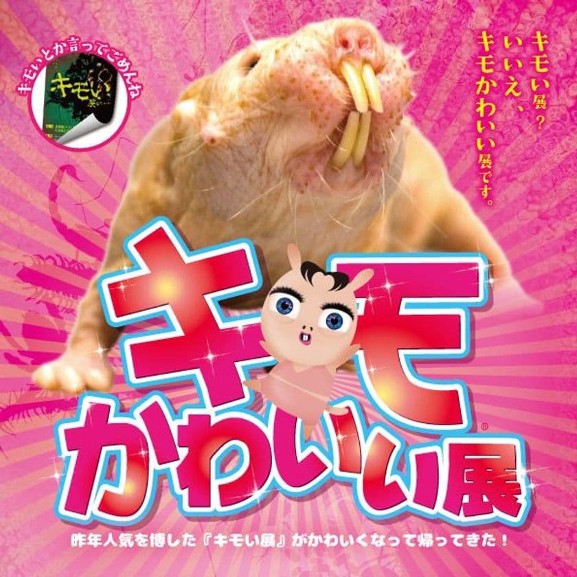 気持ち悪い？・かわいい？イメージのアニマルが
京セラドーム大阪に大集合！
いよいよ「キモかわいい展in大阪」7月14日(土)から開催！！