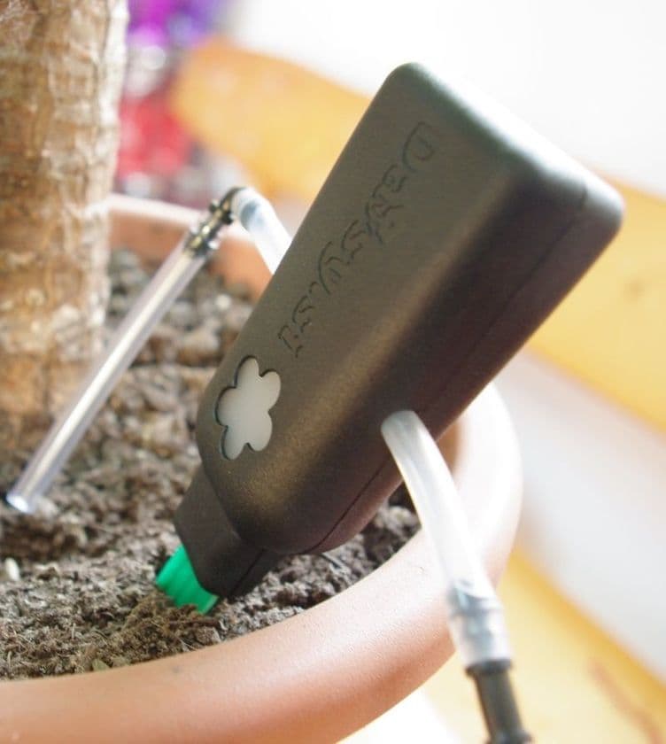 センサー技術を活用し留守中の植物に適切な水やりを行う
「Daisy.si」の価格を大幅値下げ　植物を枯らす心配なし！