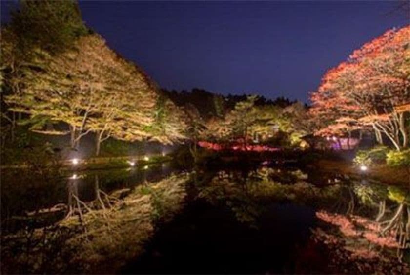 ライトアップされた紅葉とアートを楽しむ
六甲高山植物園　夜の紅葉散策
10月19日(金)～11月11日(日)開催！