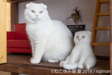 展示作品3