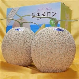 長生マスクメロン