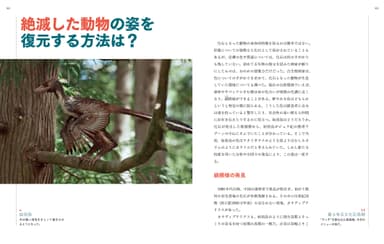 スーパービジュアル再現 羽毛恐竜と巨大昆虫 7つの謎で解き明かす太古の世界
