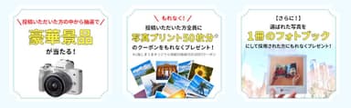 しまうま夏旅プレゼント