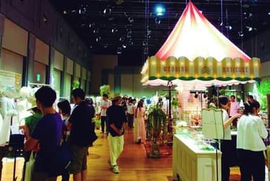 Marche For Wedding 1