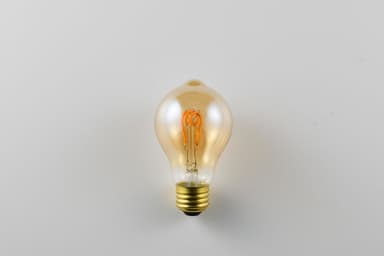 LED SWAN BULB VF　SWAN