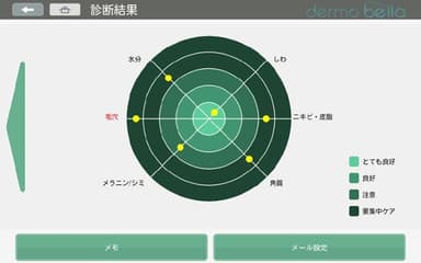 スキンチェッカーを使用した診断結果イメージ