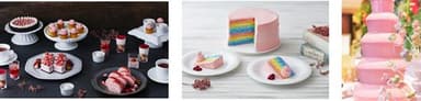 【中央】レインボーケーキ【右】ストロベリーチョコ フォンデュタワー