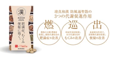 凛真和漢〔防風通聖散〕