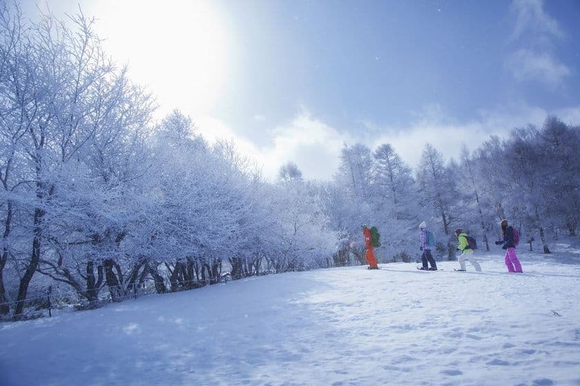 星野リゾート　リゾナーレ八ヶ岳（山梨県北杜市）
コンシェルジュと共に、八ヶ岳の様々な絶景をめぐるアクティビティ
「八ヶ岳絶景コンシェルジュ」サービス登場
提供期間：2019年2月4日～28日の平日