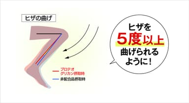 ヒト試験結果1