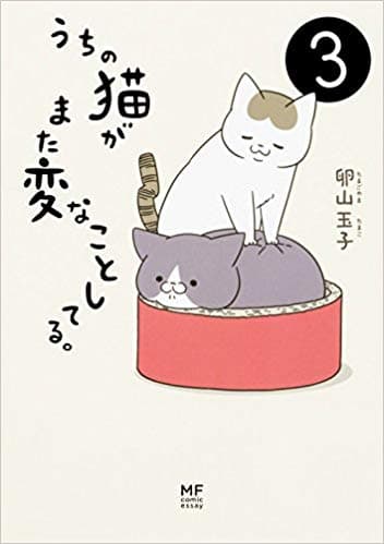 3巻表紙