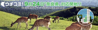 奈良エリア賃貸募集開始
