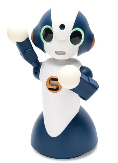 Sota