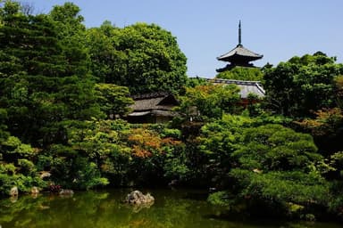 庭園（仁和寺）
