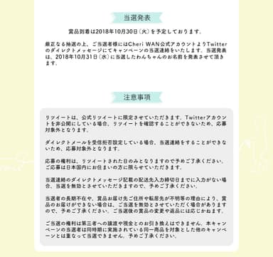 キャンペーン詳細3
