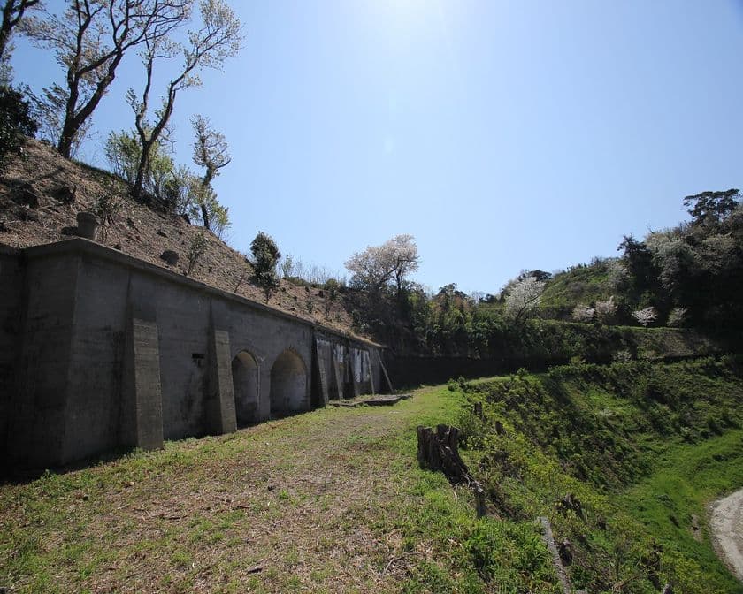 ロケ地巡りしながらレモン狩り、11/7から開始！
歴史遺産見学(砲台跡)もできる神奈川・横須賀浦賀の農園にて
