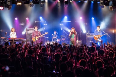 【緑黄色夜祭vol.8】-東京編- より
