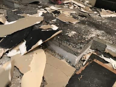 解体の様子1