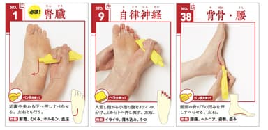 W付録「足ツボカード」