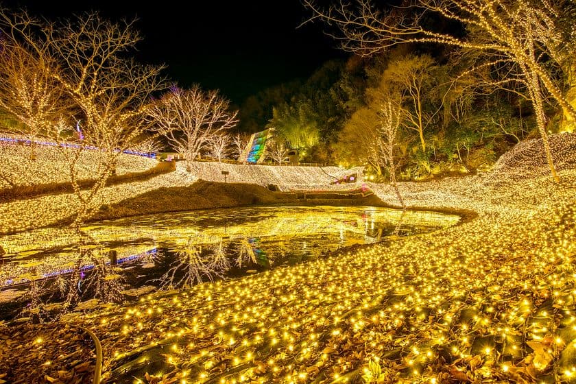 ネスタリゾート神戸のイルミネーション　
全国5,542名の夜景鑑賞士が選ぶ
「第六回イルミネーションアワード」２部門で受賞　
関西No.１に！