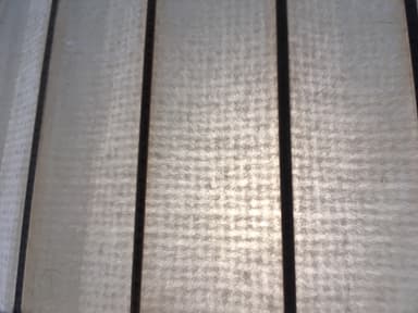 王朝紙