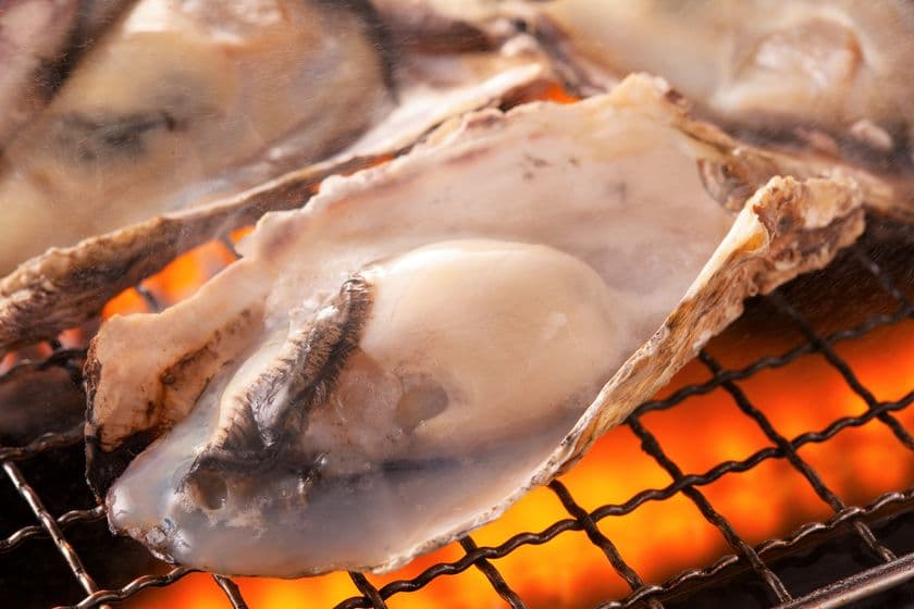 播磨灘産の牡蠣が980円で90分食べ放題！？
「磯っこ商店 博多店」でオープン4周年記念キャンペーン実施