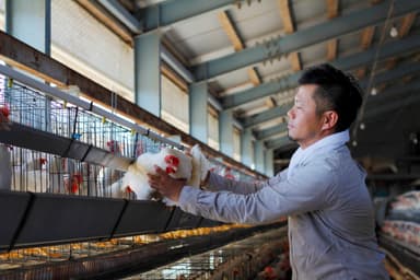 鋤ラボメンバー　北坂養鶏場