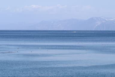 ホタテのふるさと青森県の陸奥湾