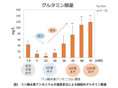 図2　リン酸水素アンモニウムの濃度変化による細胞外グルタミン酸量