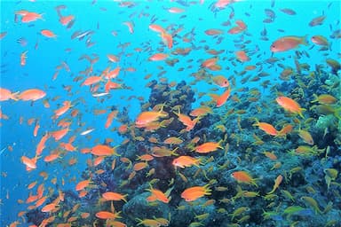 海底熟成ワインVOYAGE10